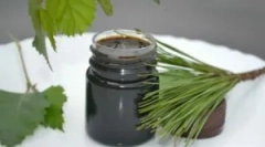 Breza dolje od miševa i štakora